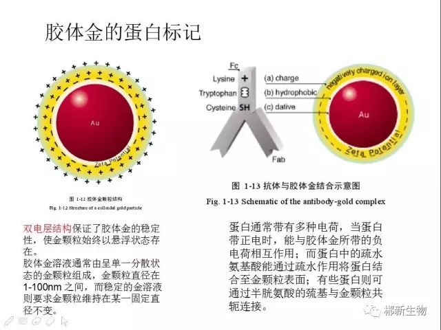层析试剂CV值控制与解析